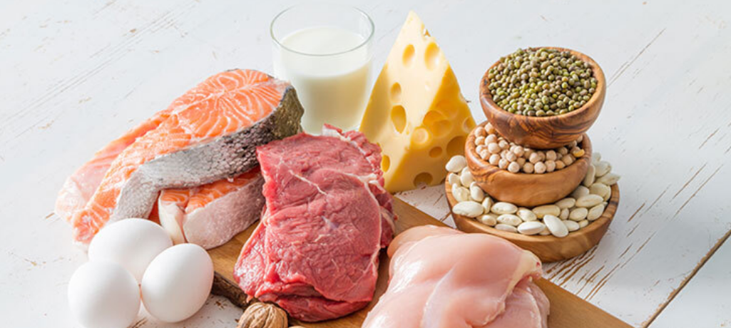 رژیم غذایی پروتئینی چیست + نمونه رژیم پروتئین رایگان