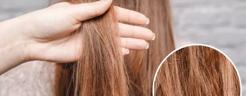 مراقبت از موهای خشک در منزل با 4 روش ساده