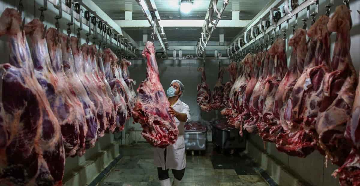 وضعیت صنعت فرآورده های گوشتی در کشور