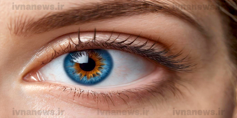 ویتامین های مفید برای سلامت چشم| اینفوگرافی