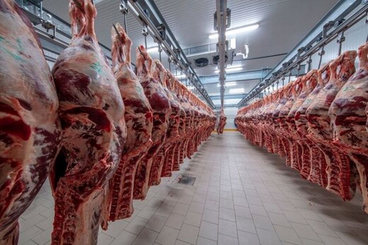 روایتی جالب از گرانی گوشت در زمان اشغال پایتخت